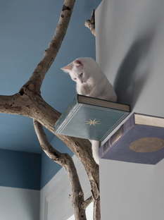 Romeow, cat cafe in Rome
