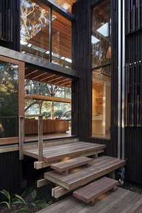 Herbst Architects under the Pohutukawa trees in New Zealand
