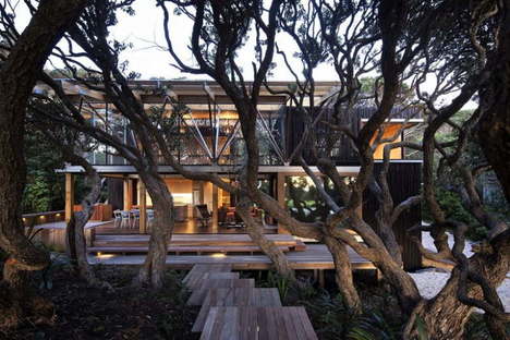 Herbst Architects under the Pohutukawa trees in New Zealand
