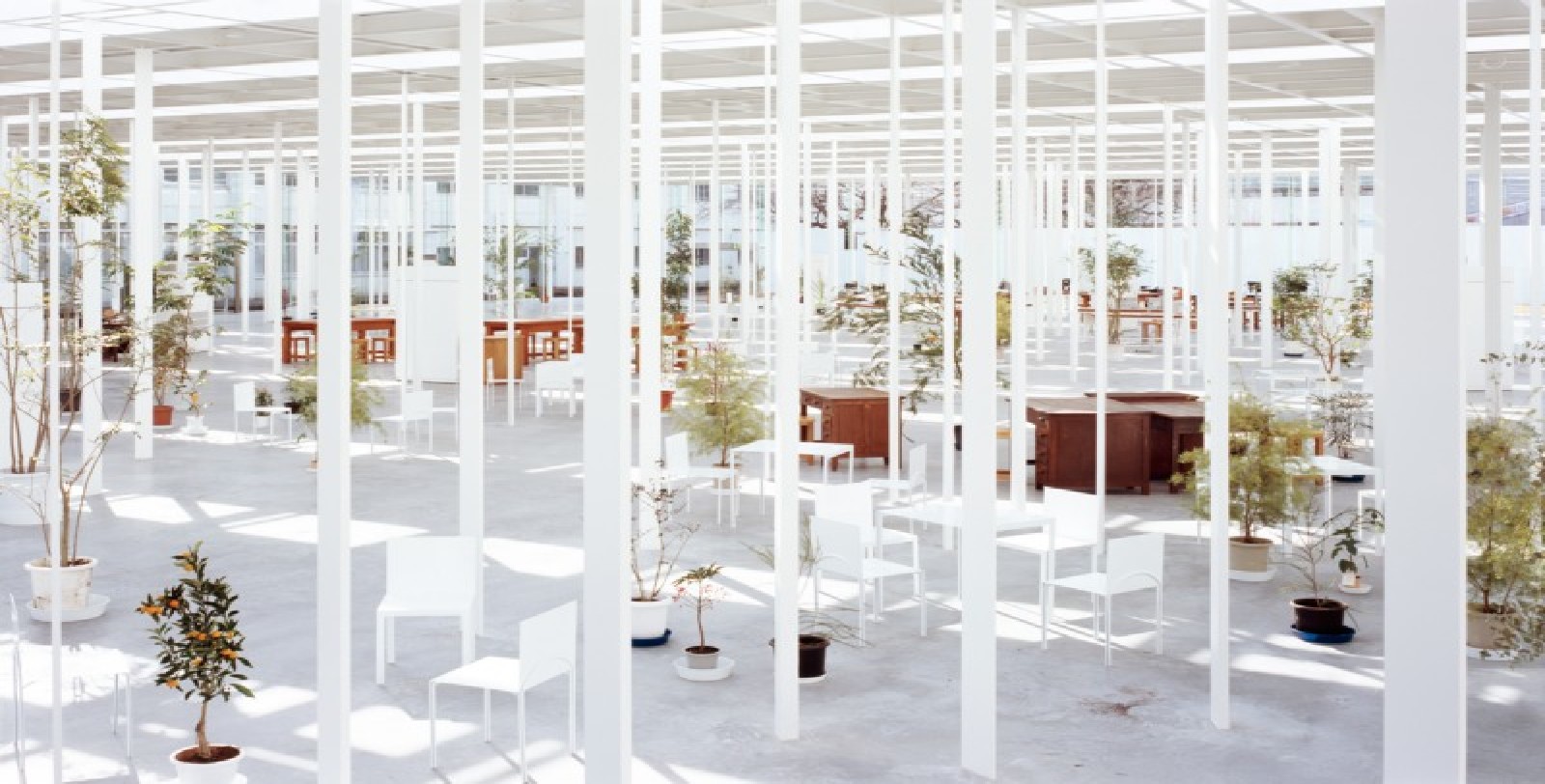 Junya Ishigami wins the BSI Swiss Architectural Award | Floornature1600 x 812