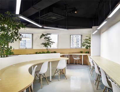 Celebrating nature. An office by Muxin Design and Research
