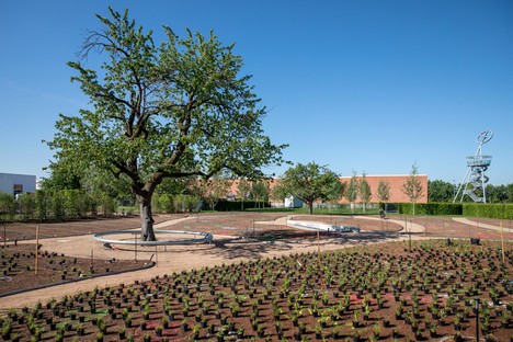 Piet Oudolf designs Perennial Garden on Vitra Campus, in Weil am Rhein
