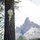 Art and the Landscape in Italy, from the Dolomites to the Abruzzo, Lazio and Molise National Park