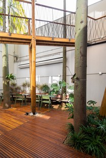 Superlimão designs the new Populos headquarters in São Paulo, complete with treehouse
