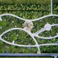 Designing with nature, the history and future of the garden on display at the Vitra Design Museum
