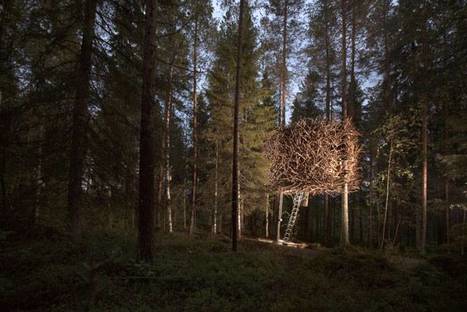 Five Scandinavian architects design the Treehotel
