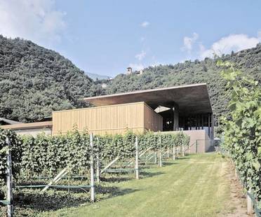 Markus Scherer, Nals Margreid winery
