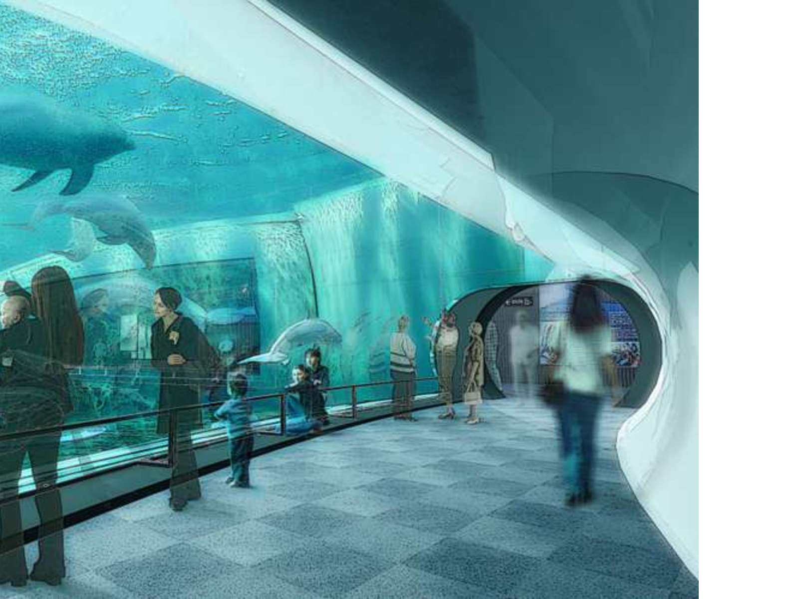 Renzo Piano New Cetaceans Pavilion Genoa Aquarium Floornature