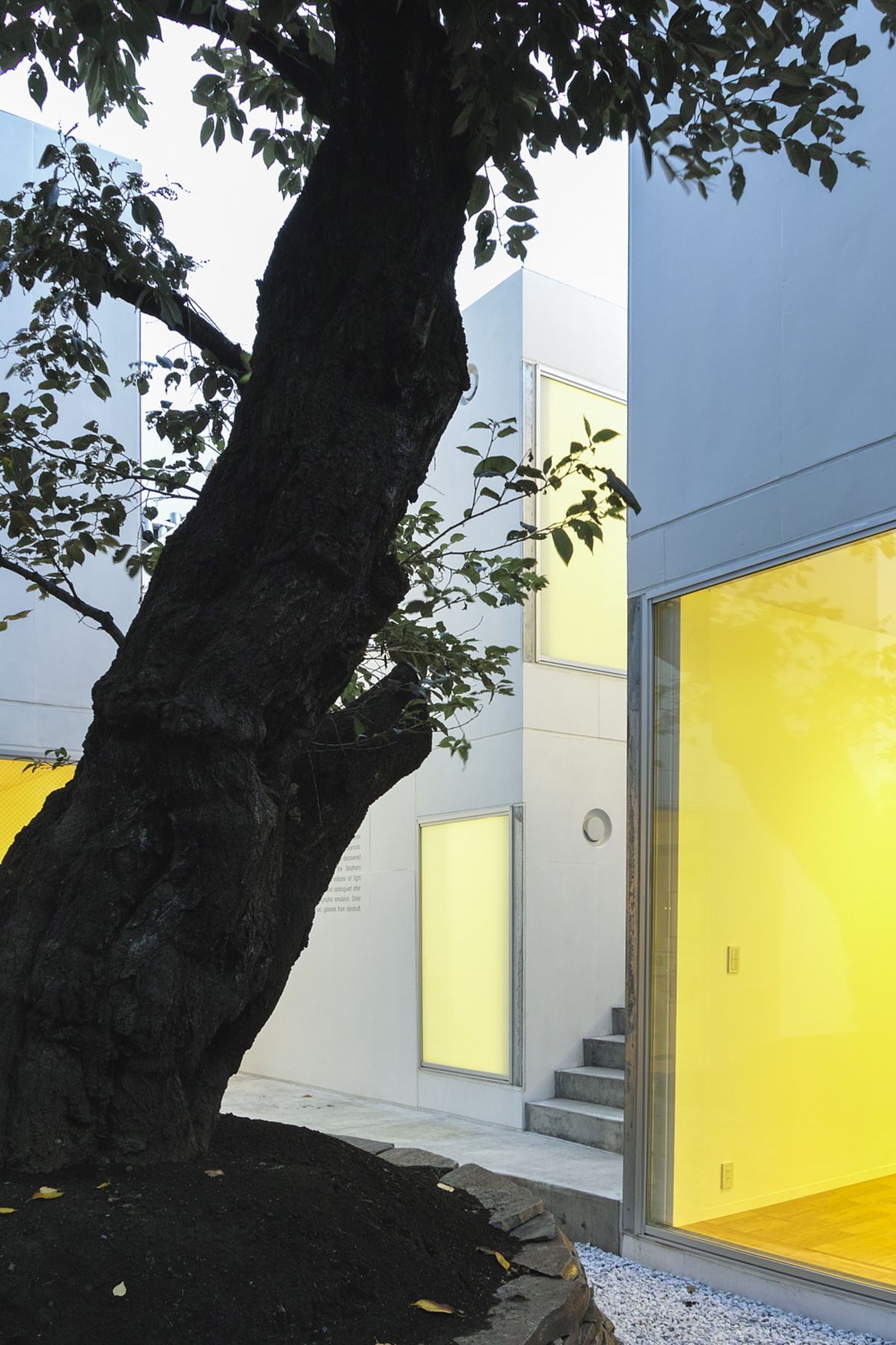 Chiba Manabu: Sugar Housing in an art gallery in Tokyo

