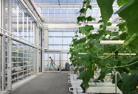 van Bergen Kolpa + META: Agrotopia urban horticulture research centre 
