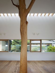 Ogawa: nature and architecture in the house with trees in Kagawa
