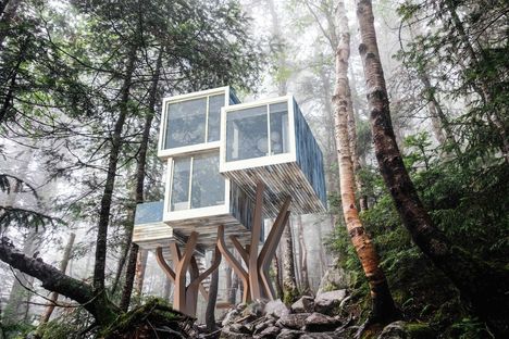 NewNest, the treehouse reloaded