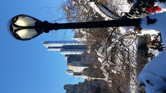 Blizzard2016 – the day after with Livegreenblog in NYC