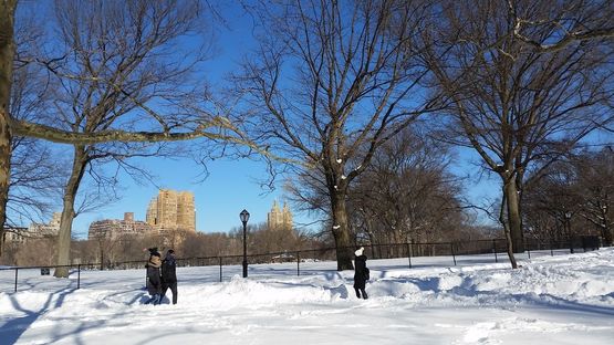 Blizzard2016 – the day after with Livegreenblog in NYC