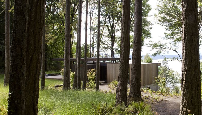 A house in nature by mw works