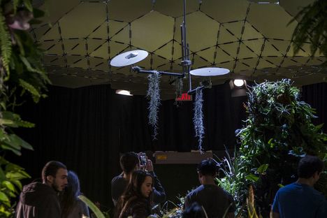 The Lowline NYC, seen through the eyes of Montse Zamorano