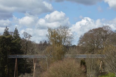 Treetop Walkway at the National Arboretum in Westonbirt