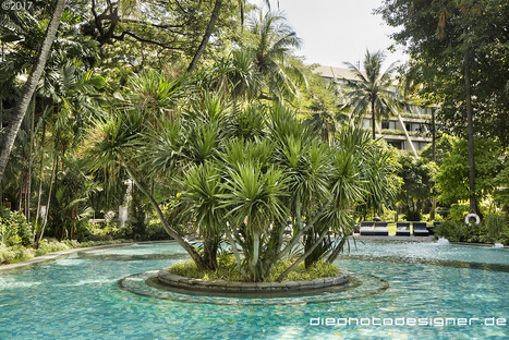 The enchanted garden of Nai Lert Park in Bangkok