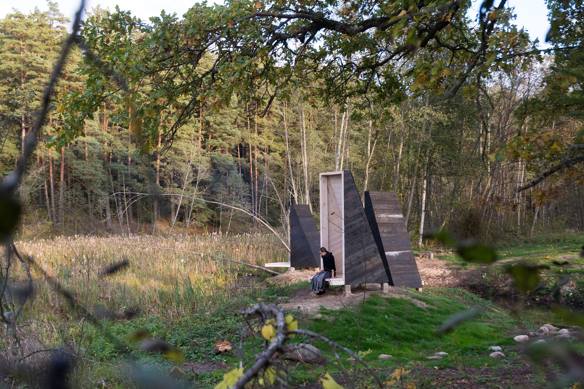 To increase Develop native A meditation garden in the Lithuanian forest | Livegreenblog