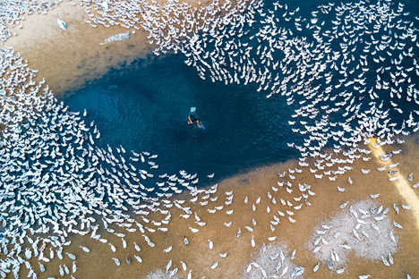 SkyPixel, the best aerial photos of 2017