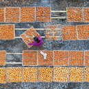 Aerial photography, persimmon harvest in China
