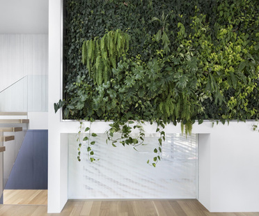 A living wall in the house renovated by naturehumaine