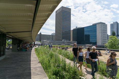 Rotterdam Architecture Month and IABR