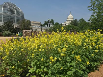 Bartholdi Park in Washington DC achieves SITES Gold certification
