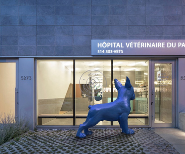A veterinary clinic in Montreal by TBA/Thomas Balaban Architecte