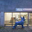A veterinary clinic in Montreal by TBA/Thomas Balaban Architecte