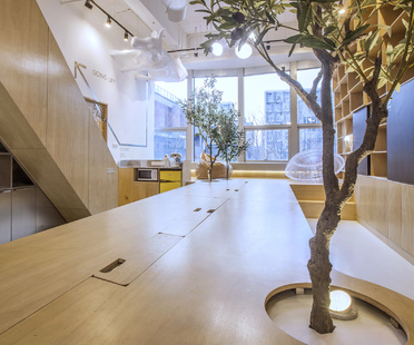 TOWO design presents its very own offices, working in style