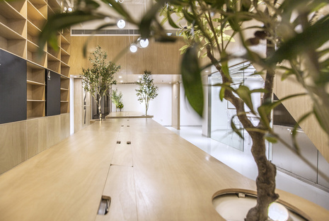 TOWO design presents its very own offices, working in style