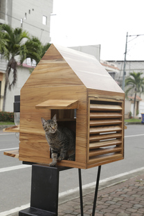 Temporary animal shelter, Natura Futura Arquitectura