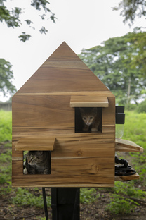 Temporary animal shelter, Natura Futura Arquitectura