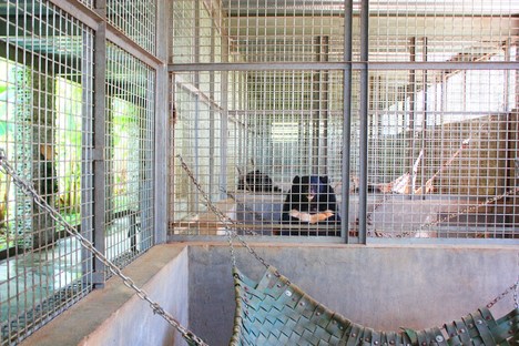 Atelier COLE and a bear sanctuary in Vietnam