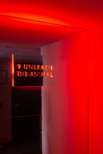 ZeroCollective, The Light that attracts us: Nocturnal Animals