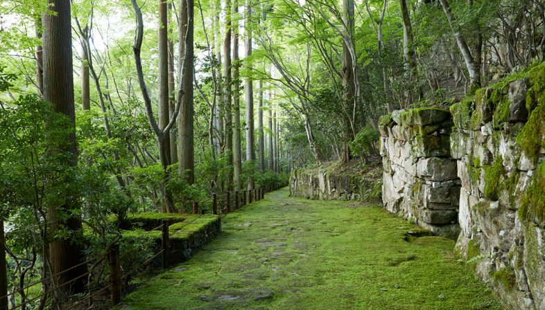 Aman Kyoto: resort in an old forgotten garden