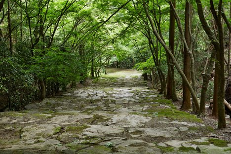 Aman Kyoto: resort in an old forgotten garden