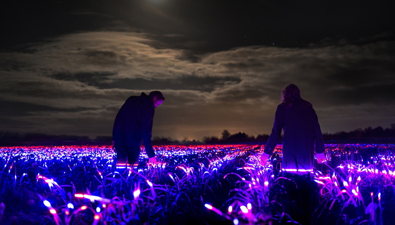GROW by Daan Roosegaarde, the beauty of agriculture