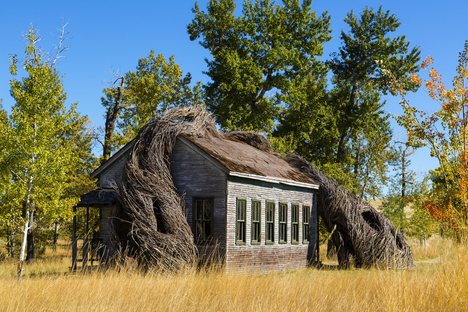 Cushing Terrell: art and architecture converge at the Tippet Rise Art Center