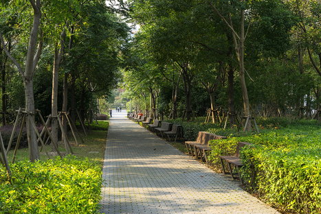 A green lung: Sasaki’s Jiading Park 
