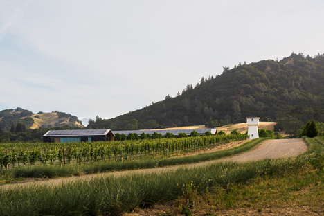 MFLA Landscape Design Studio and the most sustainable winery in the USA
