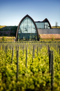 Eric Castagnotto’s winery combining heritage with innovation
