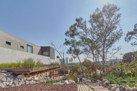 An urban community garden and educational centre in Mexico City
