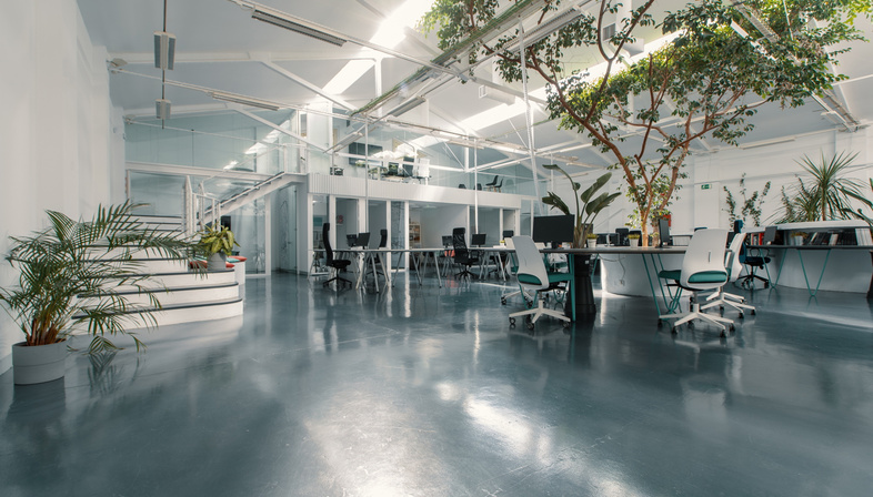 FICUS OFFICE metamorphosis from warehouse to office designed by ARQUID
