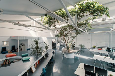 FICUS OFFICE metamorphosis from warehouse to office designed by ARQUID
