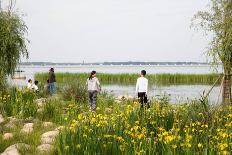 Ecological reclamation in China by Tus Design Group Co., Ltd.
