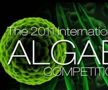 The Algae Competition, considering the role of algae in our future