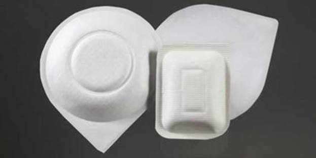 PaperLite, a biodegradable packaging alternative

