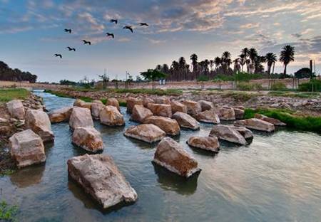 Wadi Hanifa Wetlands: reclaiming an oasis.
